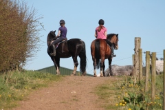 KATIE & AMY-LEE ON BLUE & ADDY