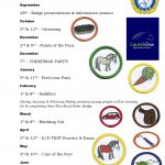 Exmoors & Dartmoors Pony Club 2017-18