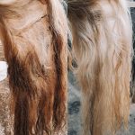 Before and after Marley tail