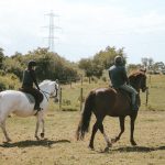 Horses ridden across field