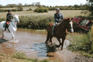 Horses riding through water