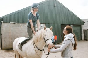 Pony desensitisation