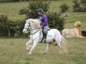 Galloping across the cross country