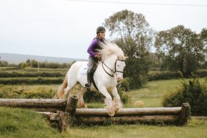 Horse jumping xc fence