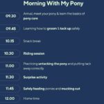 MWMP programme